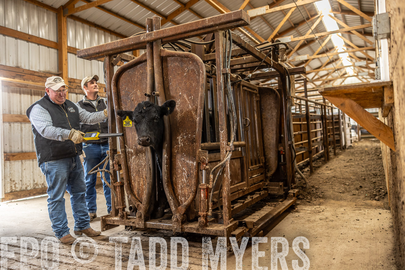 TMyers_PP_LazyJRanch_BurkeSD_Nov2024-514409