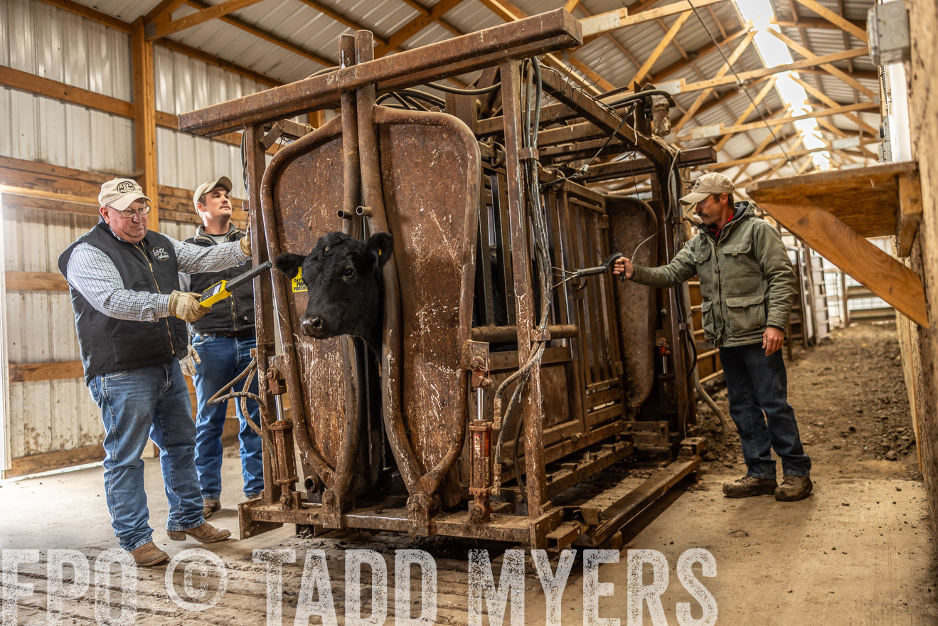 TMyers_PP_LazyJRanch_BurkeSD_Nov2024-514428