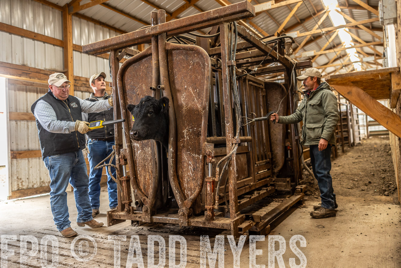 TMyers_PP_LazyJRanch_BurkeSD_Nov2024-514429