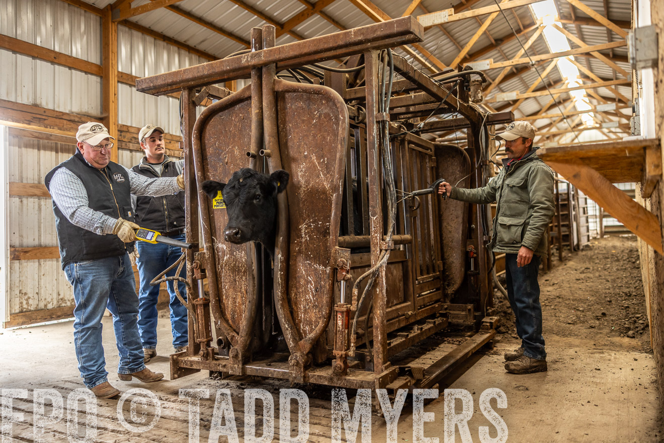 TMyers_PP_LazyJRanch_BurkeSD_Nov2024-514430
