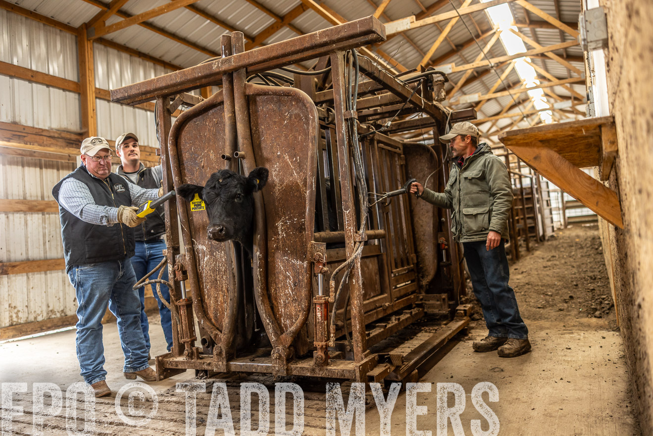TMyers_PP_LazyJRanch_BurkeSD_Nov2024-514445