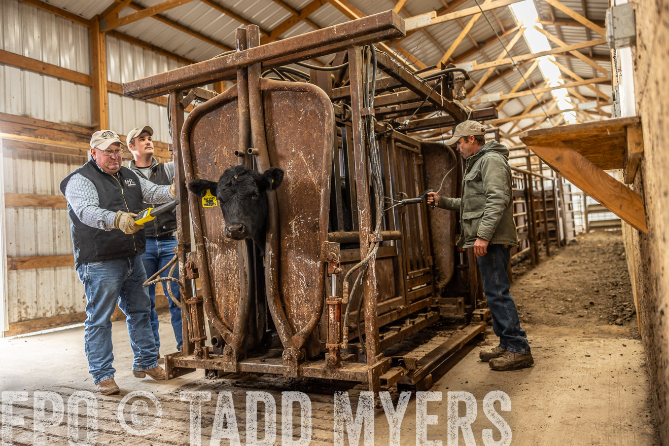 TMyers_PP_LazyJRanch_BurkeSD_Nov2024-514451