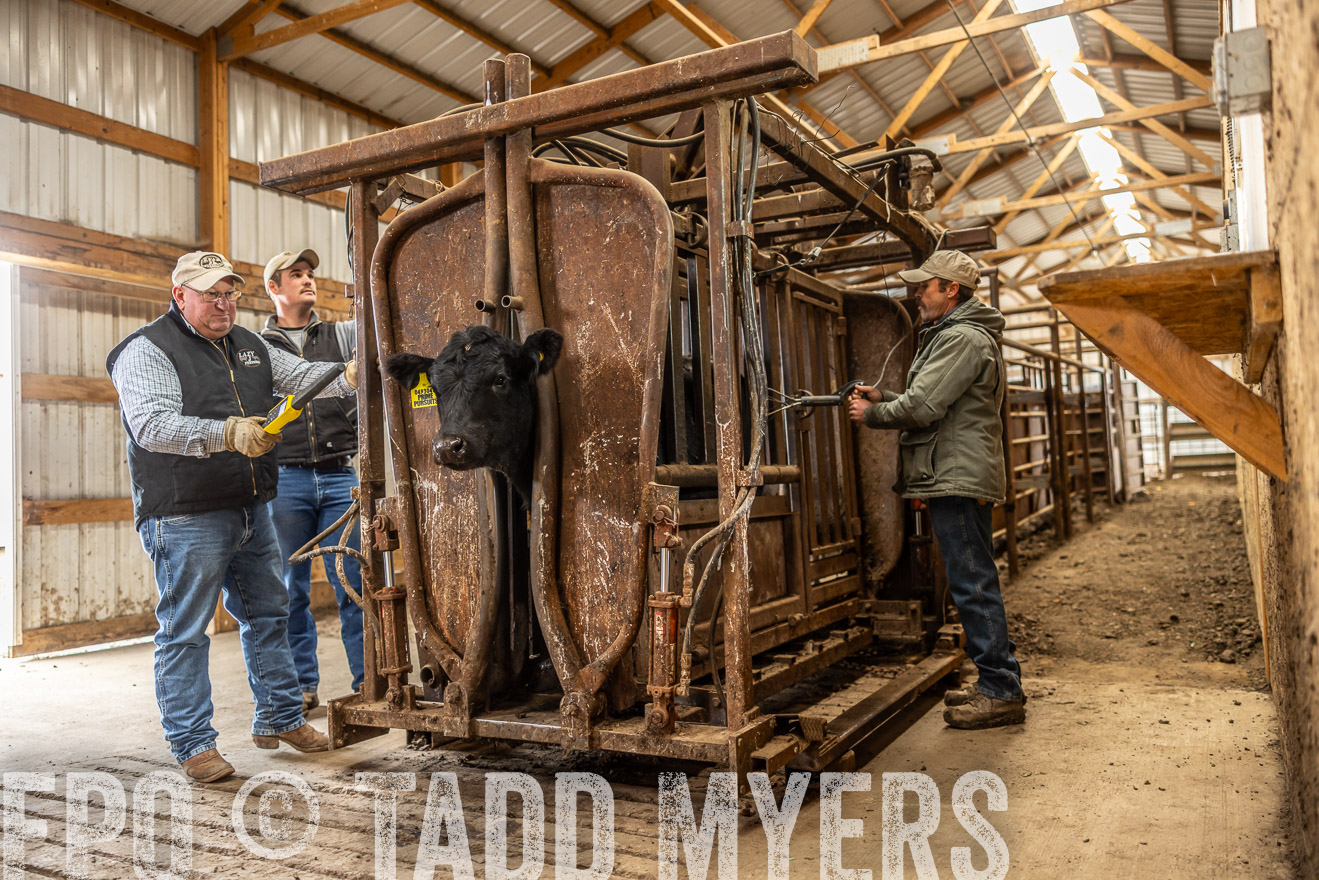 TMyers_PP_LazyJRanch_BurkeSD_Nov2024-514464