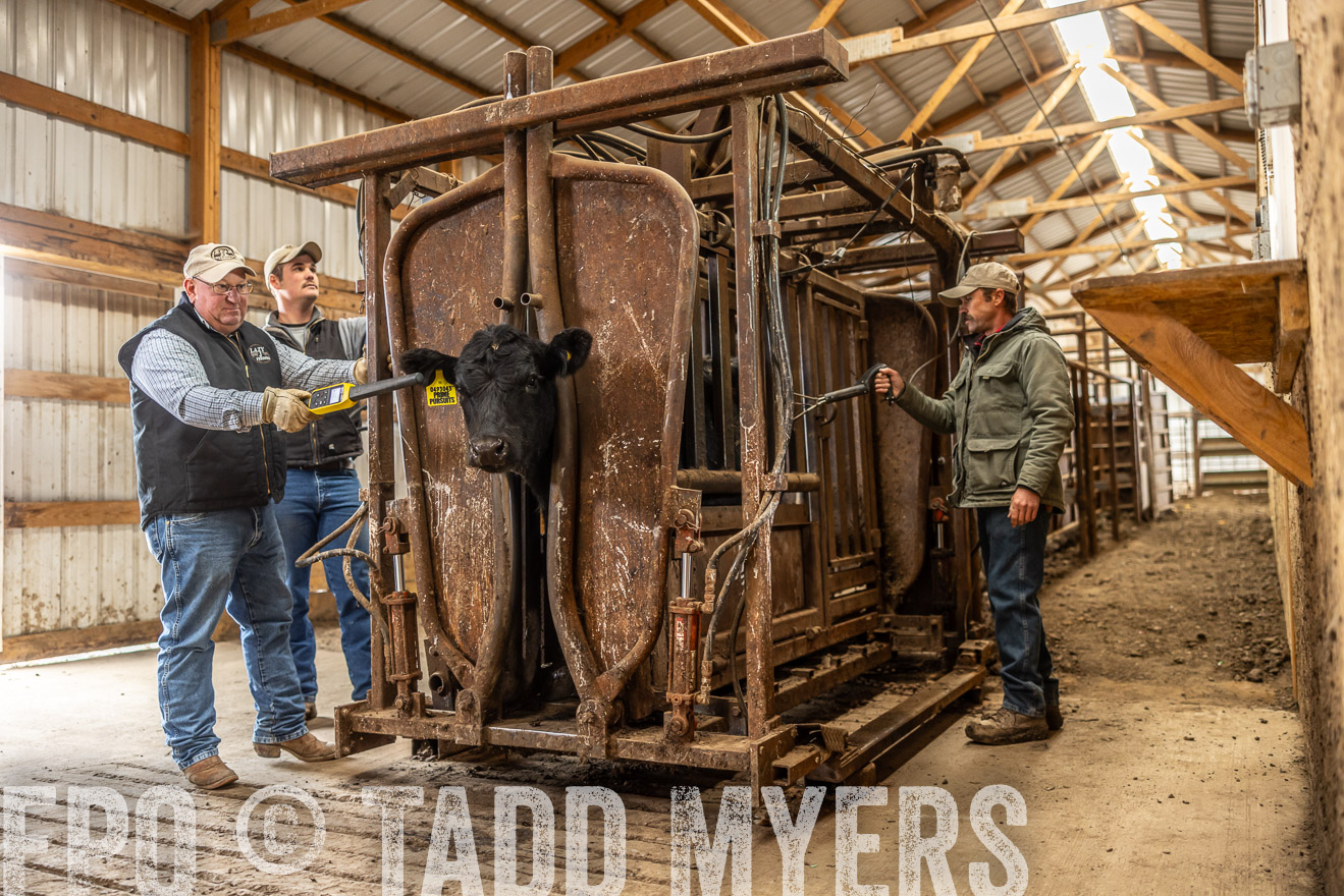 TMyers_PP_LazyJRanch_BurkeSD_Nov2024-514467