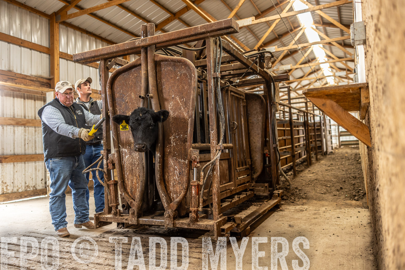 TMyers_PP_LazyJRanch_BurkeSD_Nov2024-514473