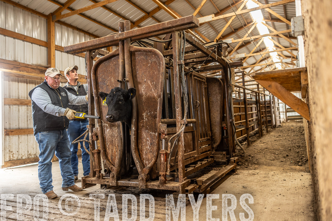 TMyers_PP_LazyJRanch_BurkeSD_Nov2024-514482