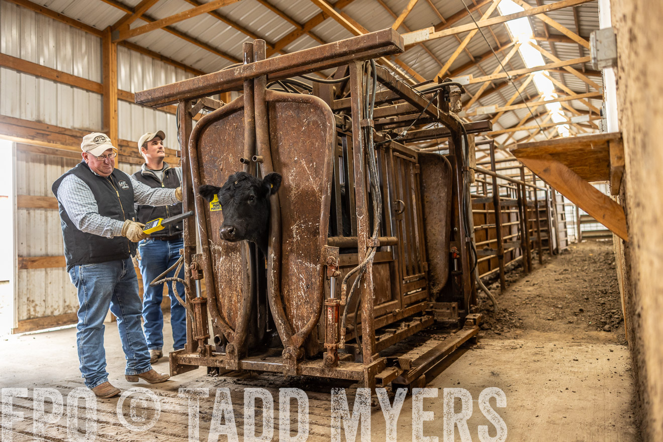 TMyers_PP_LazyJRanch_BurkeSD_Nov2024-514494