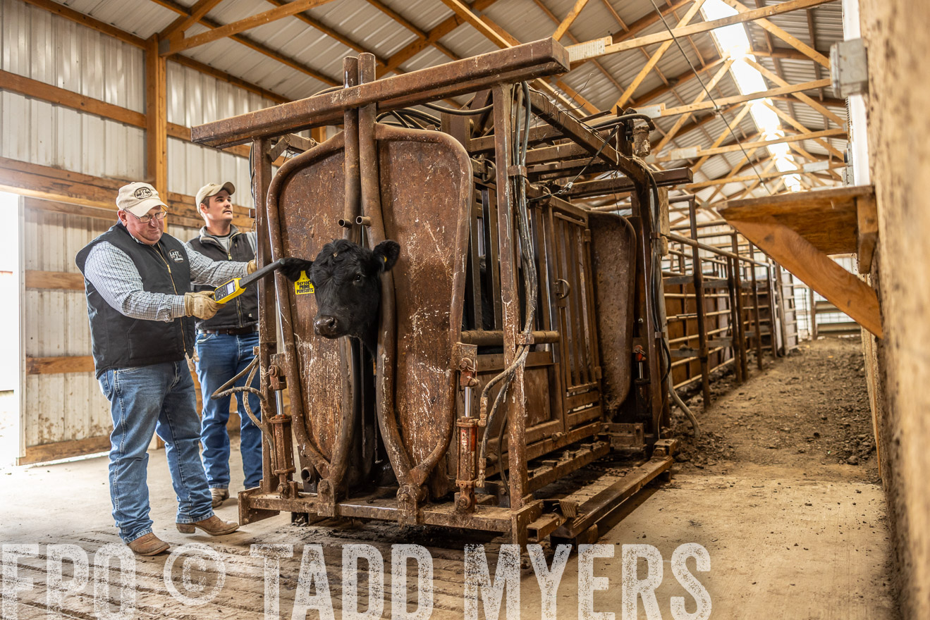 TMyers_PP_LazyJRanch_BurkeSD_Nov2024-514495