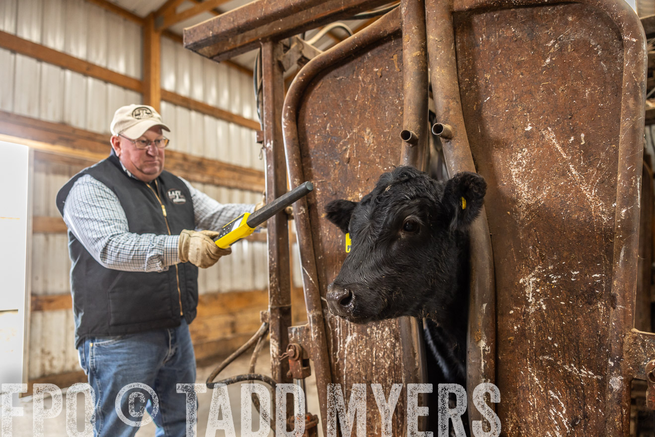 TMyers_PP_LazyJRanch_BurkeSD_Nov2024-514510