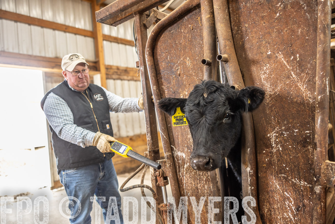 TMyers_PP_LazyJRanch_BurkeSD_Nov2024-514513