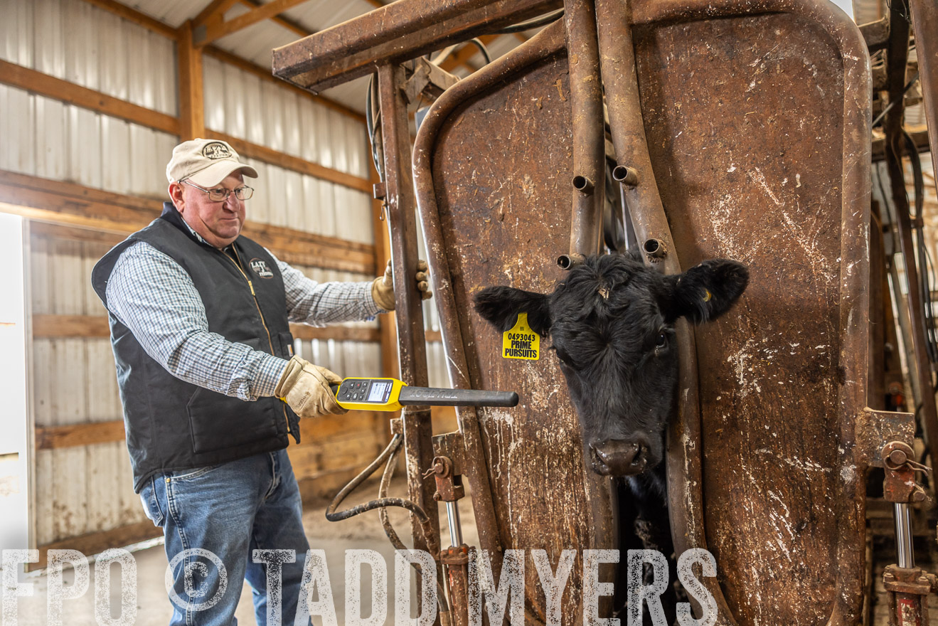 TMyers_PP_LazyJRanch_BurkeSD_Nov2024-514521