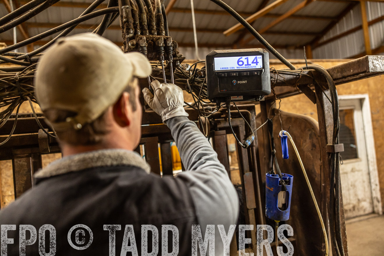 TMyers_PP_LazyJRanch_BurkeSD_Nov2024-514530
