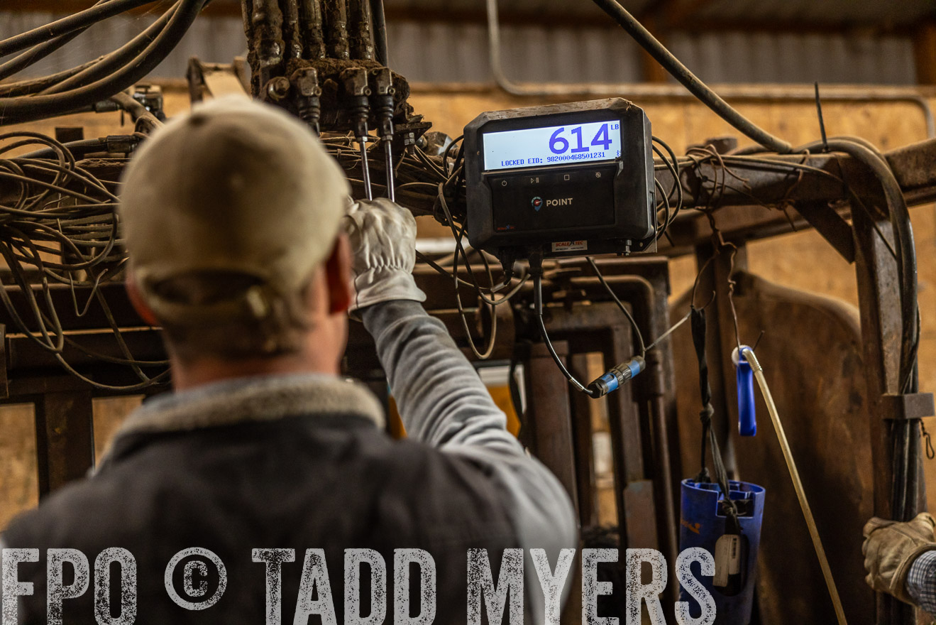 TMyers_PP_LazyJRanch_BurkeSD_Nov2024-514533