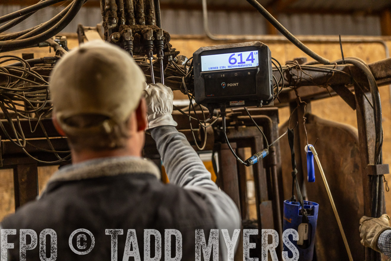 TMyers_PP_LazyJRanch_BurkeSD_Nov2024-514534