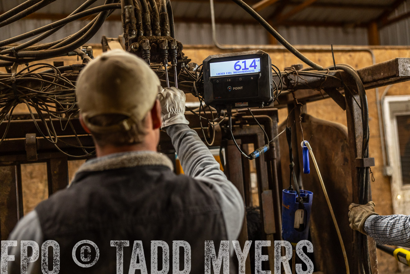 TMyers_PP_LazyJRanch_BurkeSD_Nov2024-514536