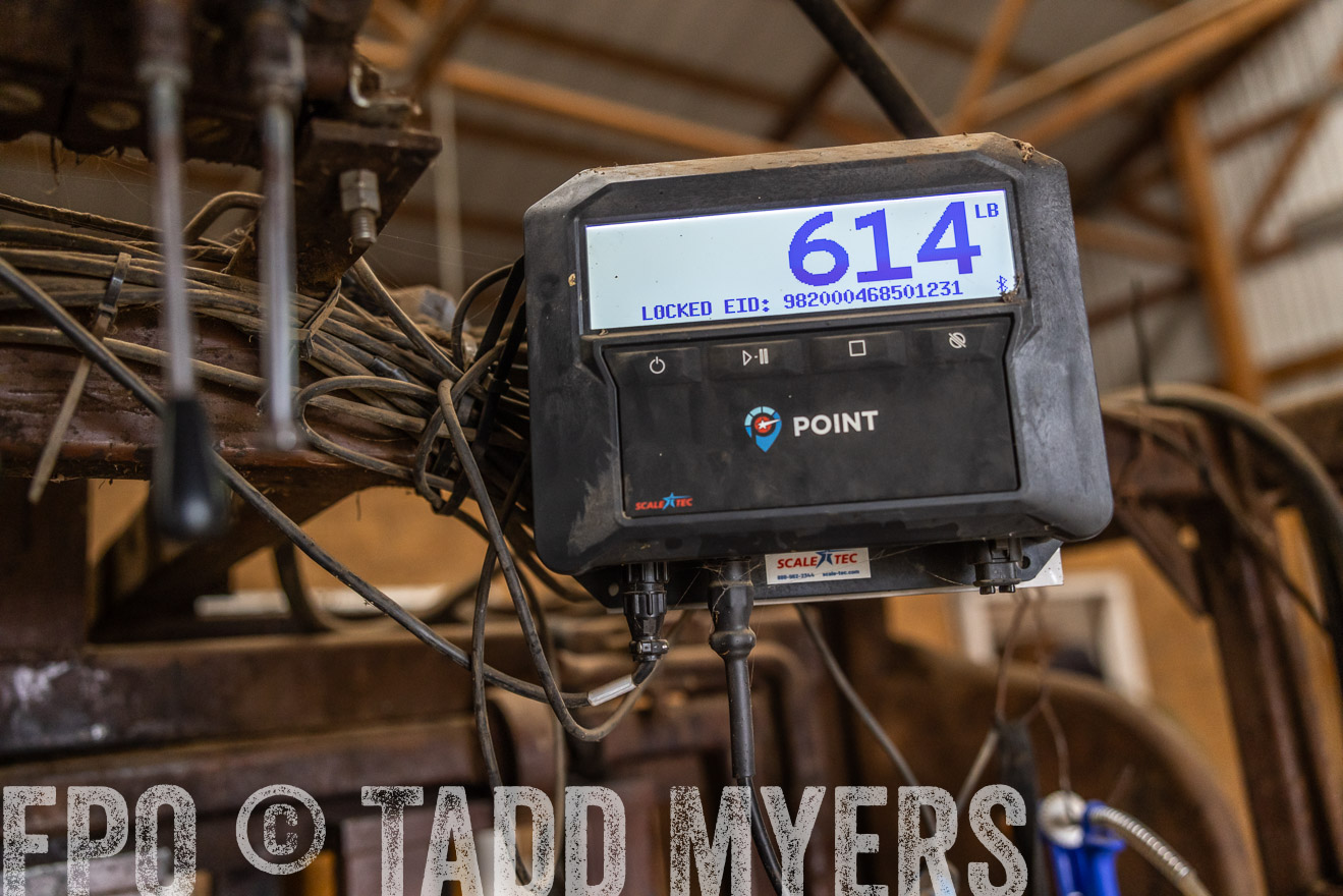 TMyers_PP_LazyJRanch_BurkeSD_Nov2024-514538