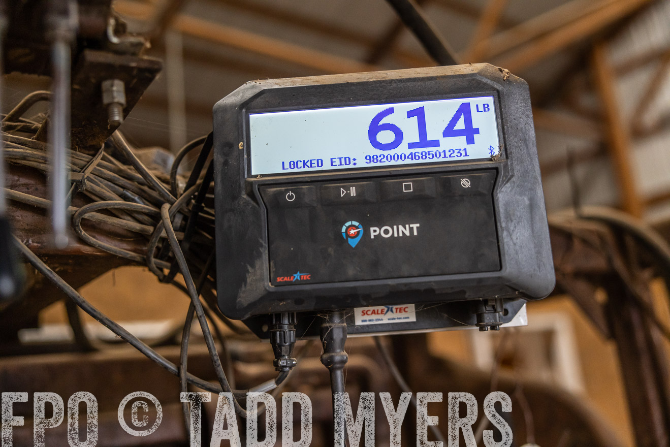 TMyers_PP_LazyJRanch_BurkeSD_Nov2024-514540