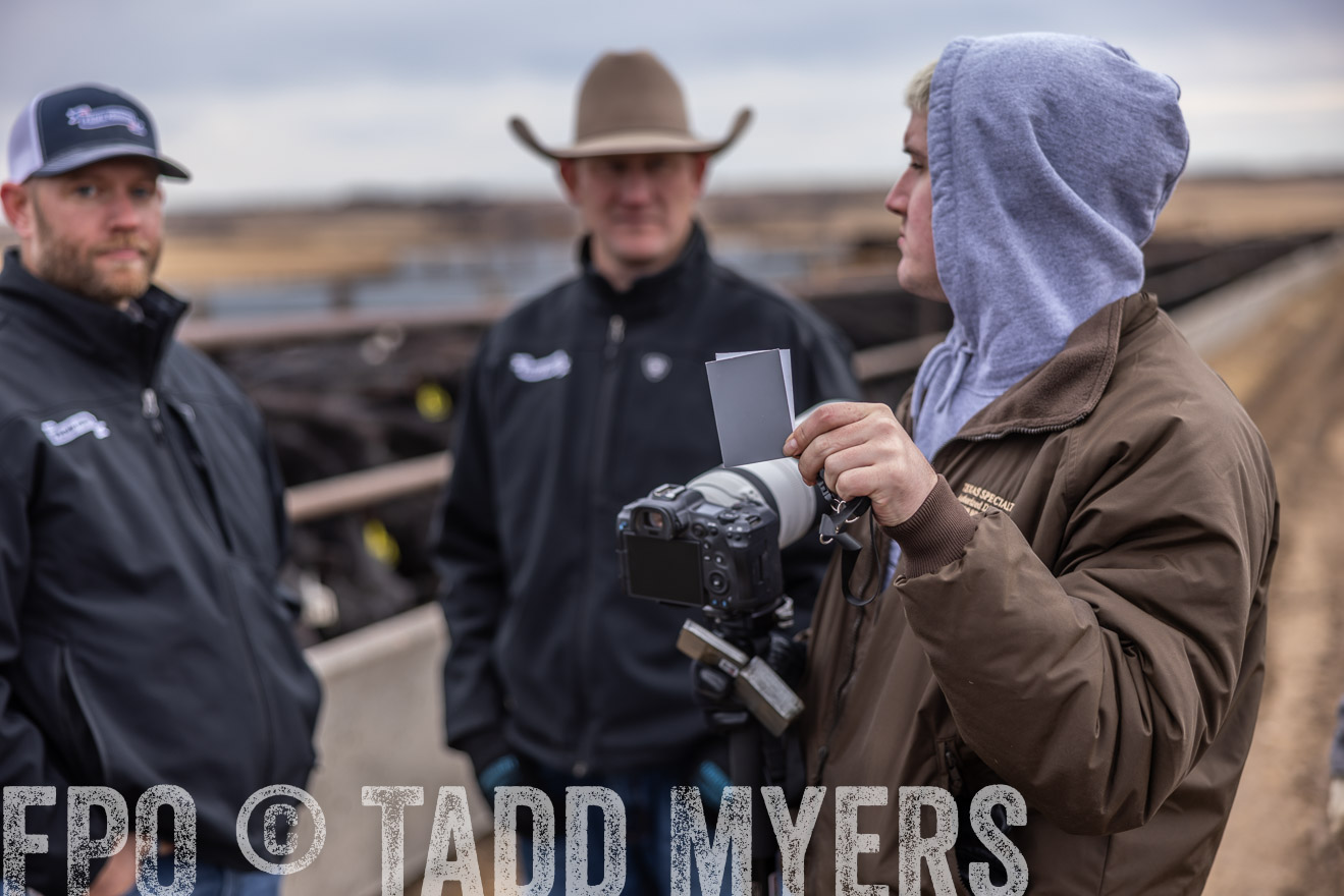 TMyers_PP_LazyJRanch_BurkeSD_Nov2024-514892