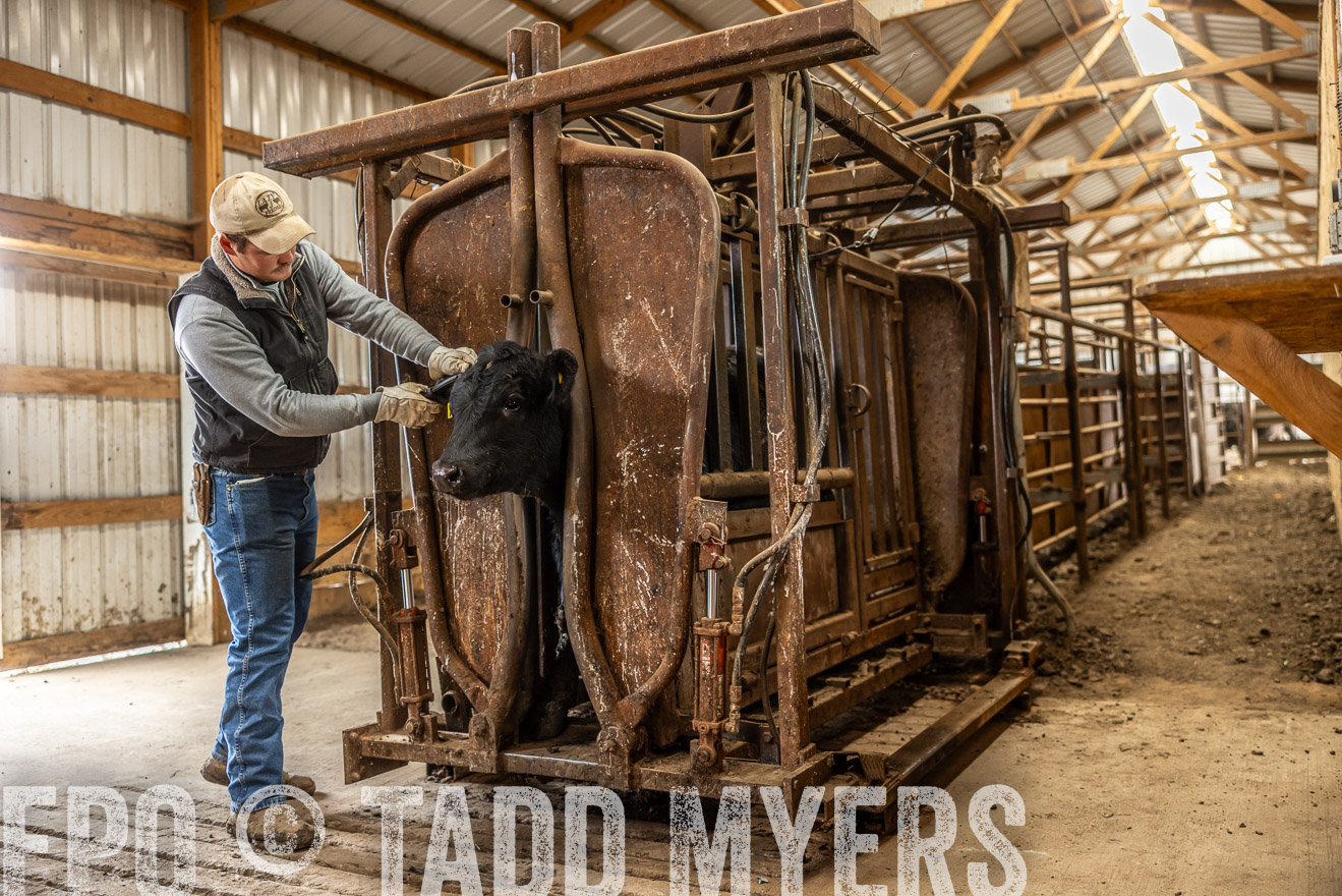 TMyers_PP_LazyJRanch_BurkeSD_Nov2024-514373