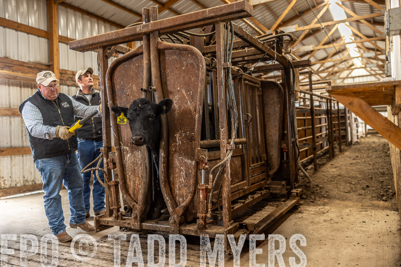TMyers_PP_LazyJRanch_BurkeSD_Nov2024-514385