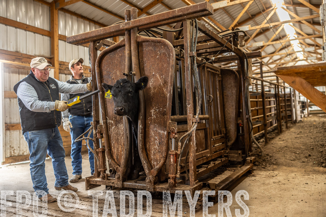 TMyers_PP_LazyJRanch_BurkeSD_Nov2024-514397