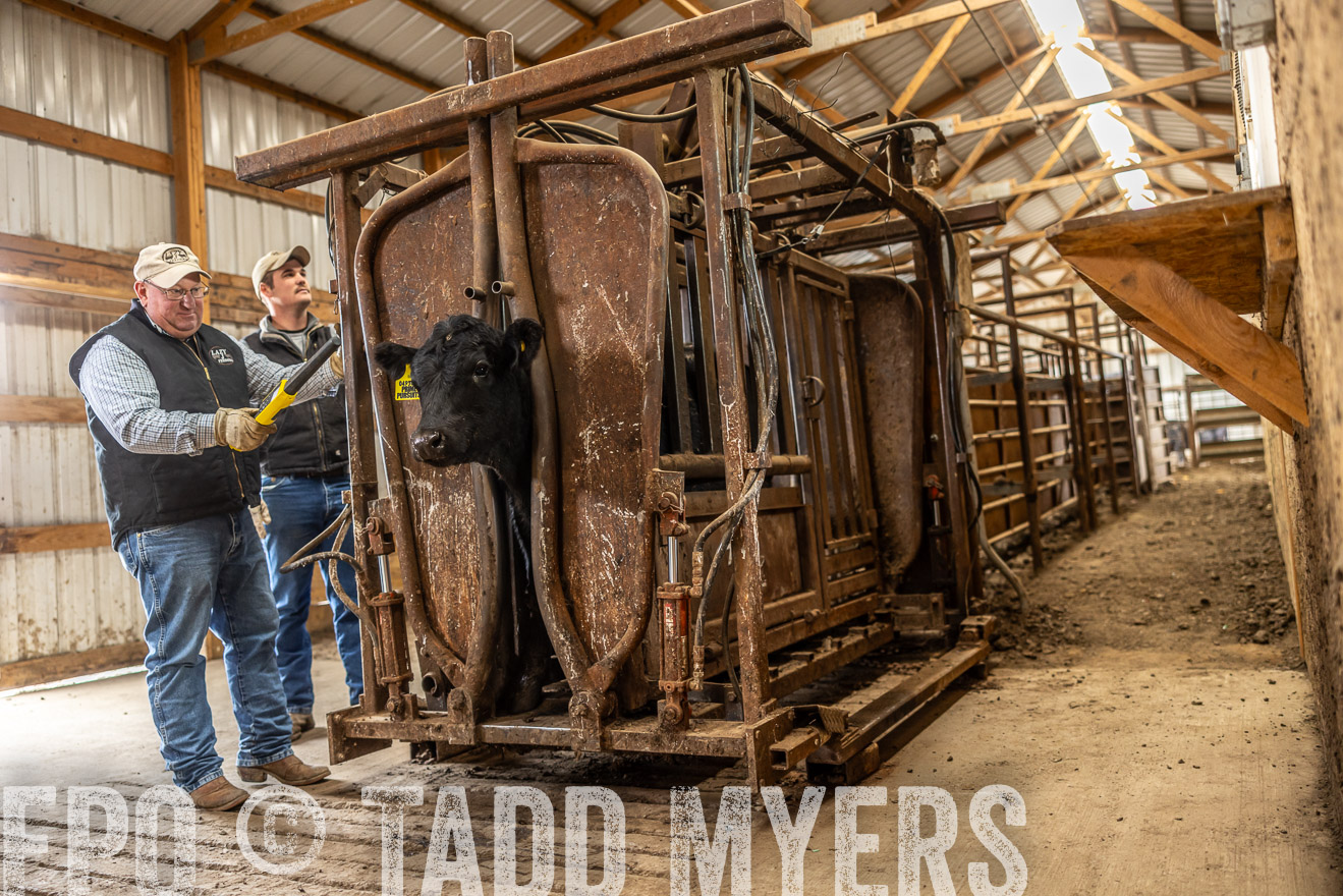 TMyers_PP_LazyJRanch_BurkeSD_Nov2024-514414