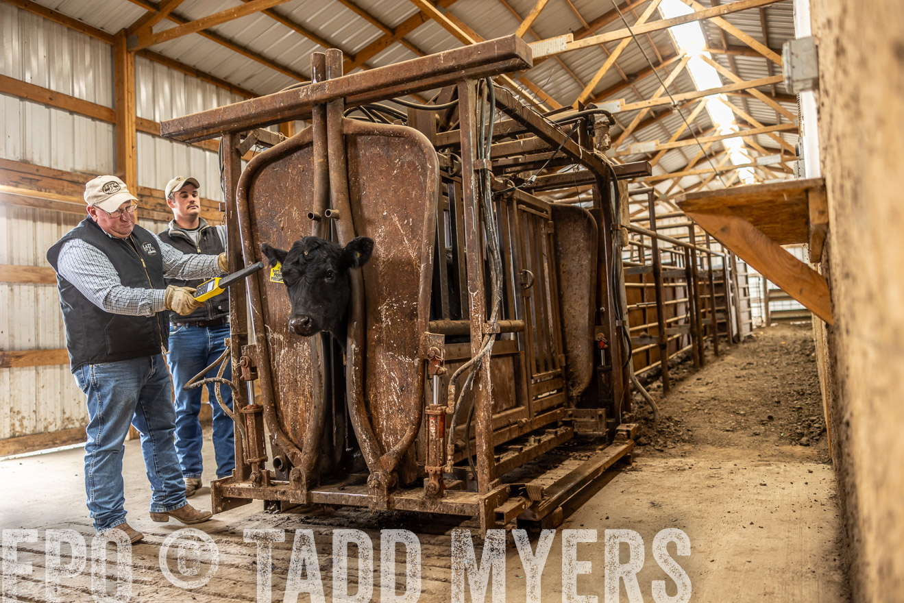 TMyers_PP_LazyJRanch_BurkeSD_Nov2024-514487