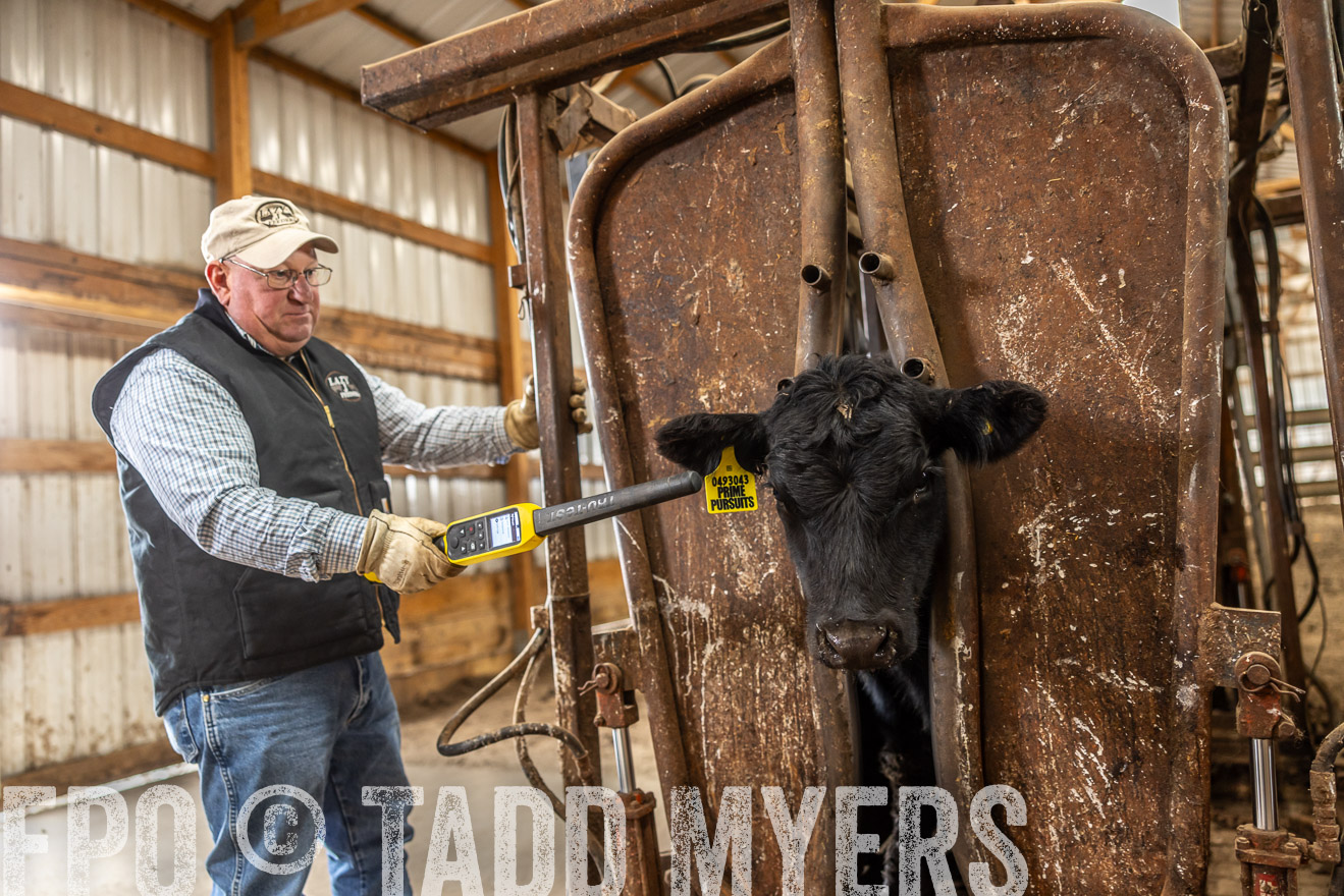 TMyers_PP_LazyJRanch_BurkeSD_Nov2024-514518