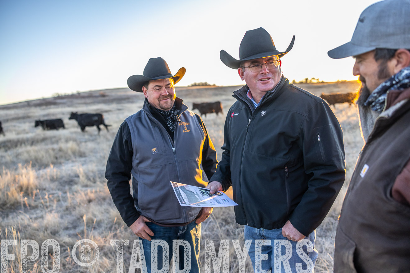 TMyers_PP_MalkowskiRanch_FairfieldND_Nov2024-515615