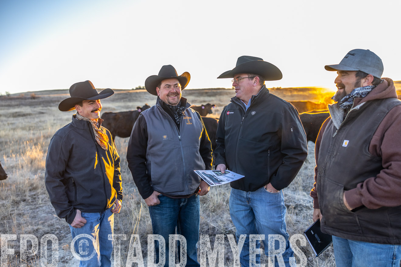 TMyers_PP_MalkowskiRanch_FairfieldND_Nov2024-515691