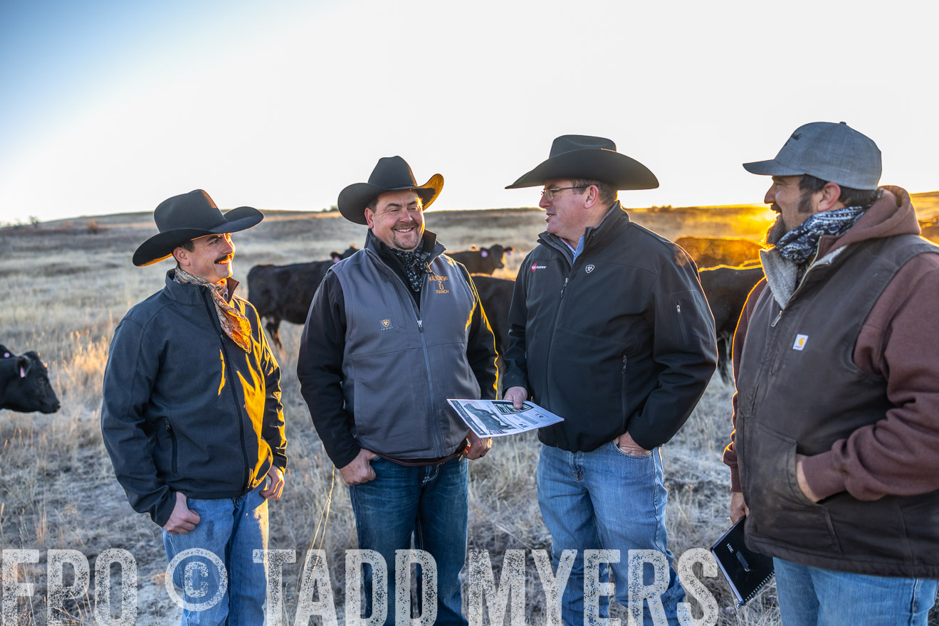 TMyers_PP_MalkowskiRanch_FairfieldND_Nov2024-515692