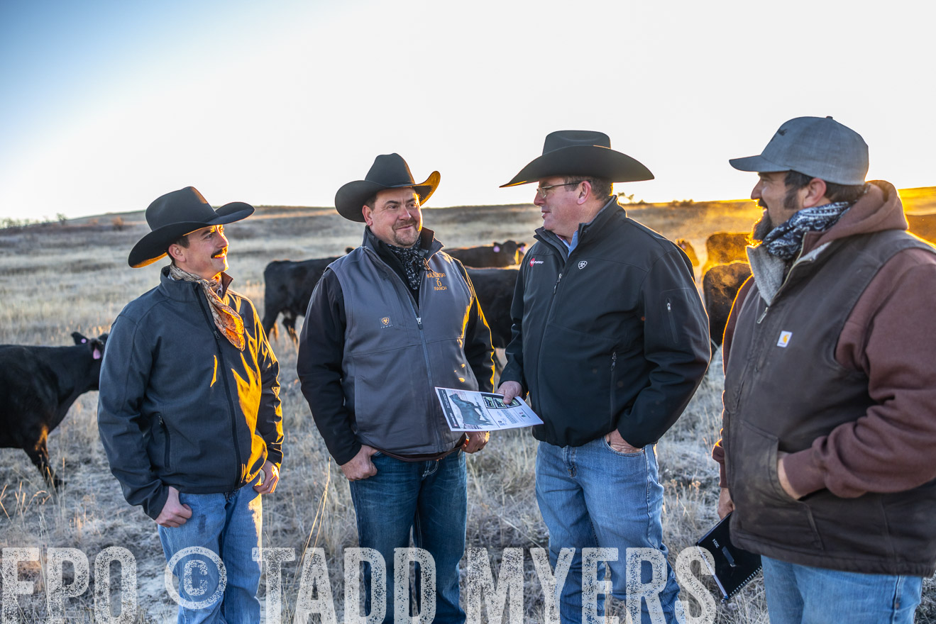 TMyers_PP_MalkowskiRanch_FairfieldND_Nov2024-515693