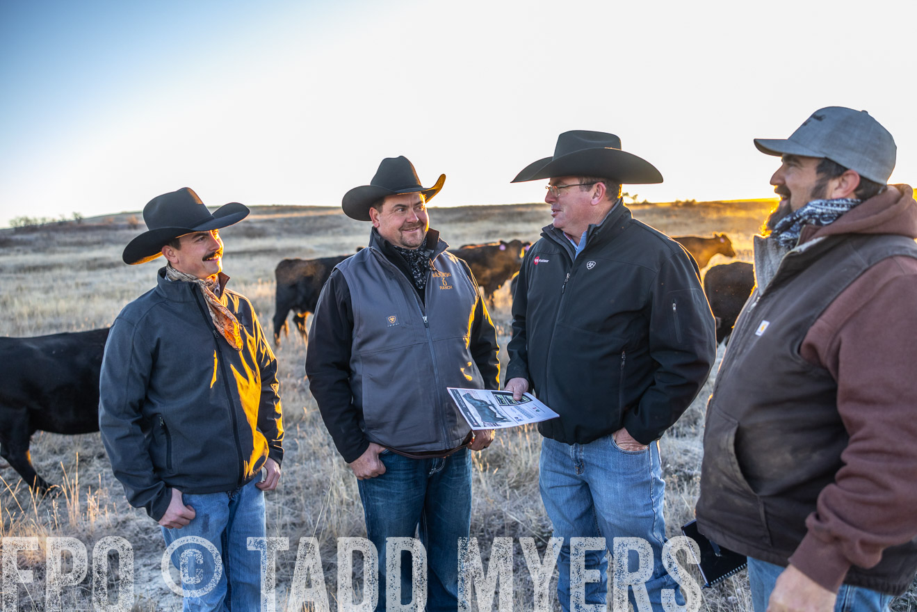TMyers_PP_MalkowskiRanch_FairfieldND_Nov2024-515696