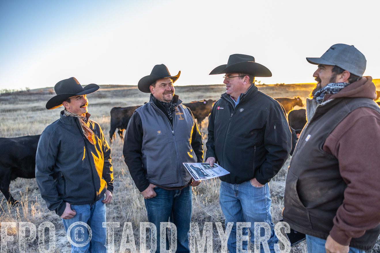 TMyers_PP_MalkowskiRanch_FairfieldND_Nov2024-515697