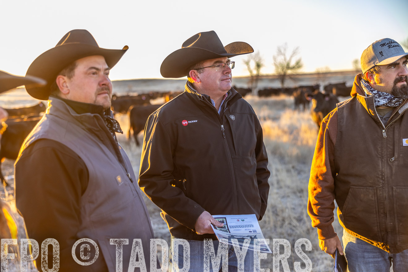 TMyers_PP_MalkowskiRanch_FairfieldND_Nov2024-515720