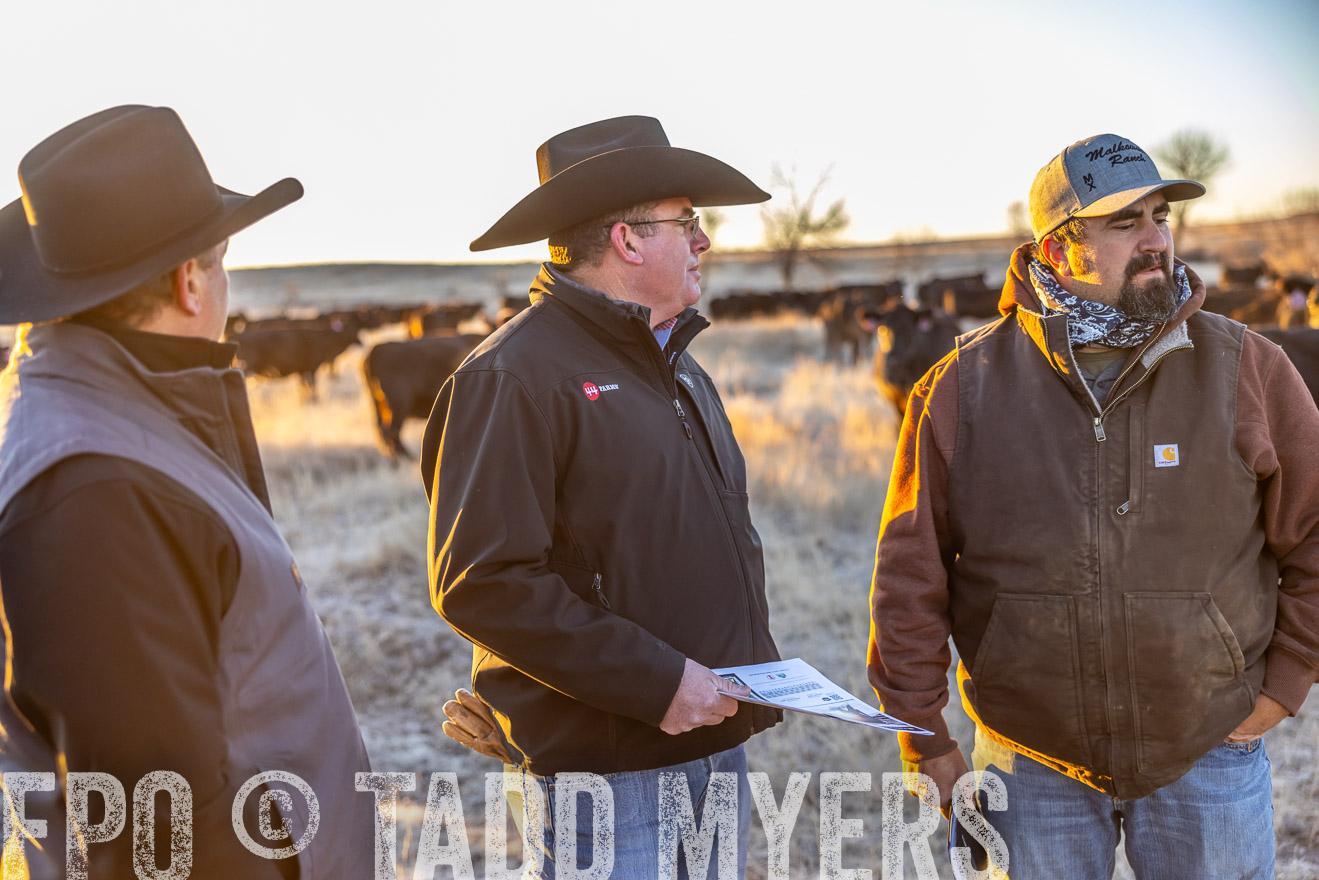 TMyers_PP_MalkowskiRanch_FairfieldND_Nov2024-515722