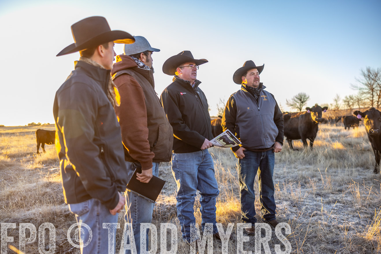 TMyers_PP_MalkowskiRanch_FairfieldND_Nov2024-515732