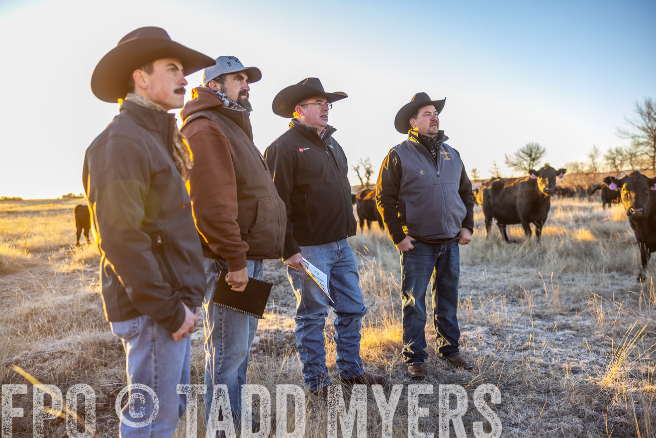 TMyers_PP_MalkowskiRanch_FairfieldND_Nov2024-515733