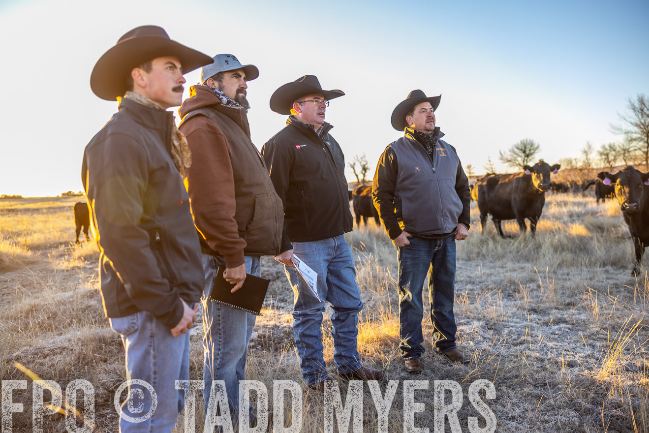 TMyers_PP_MalkowskiRanch_FairfieldND_Nov2024-515734