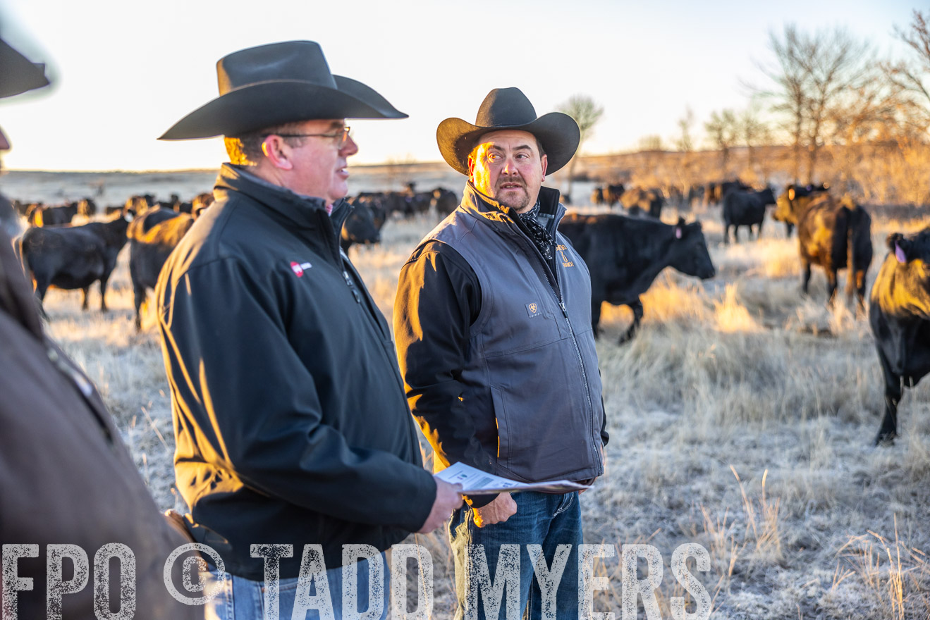 TMyers_PP_MalkowskiRanch_FairfieldND_Nov2024-515746