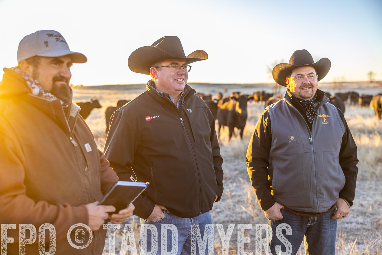 TMyers_PP_MalkowskiRanch_FairfieldND_Nov2024-515769