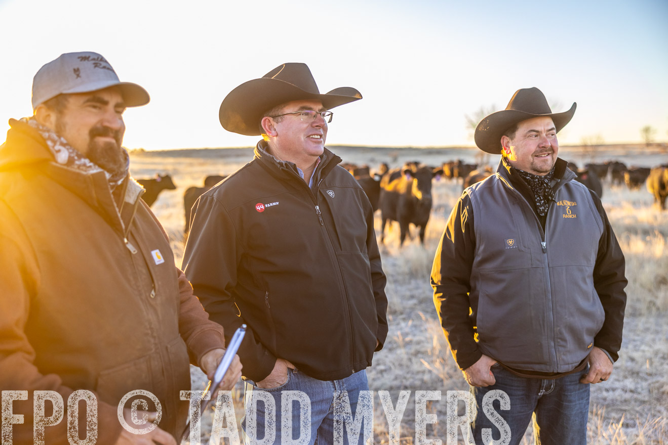 TMyers_PP_MalkowskiRanch_FairfieldND_Nov2024-515770