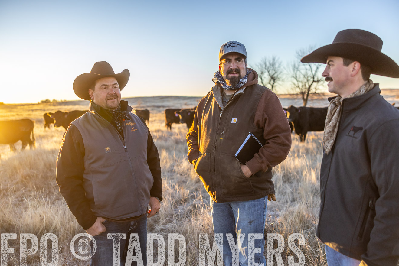 TMyers_PP_MalkowskiRanch_FairfieldND_Nov2024-515818