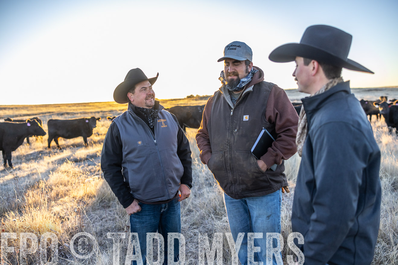 TMyers_PP_MalkowskiRanch_FairfieldND_Nov2024-515857