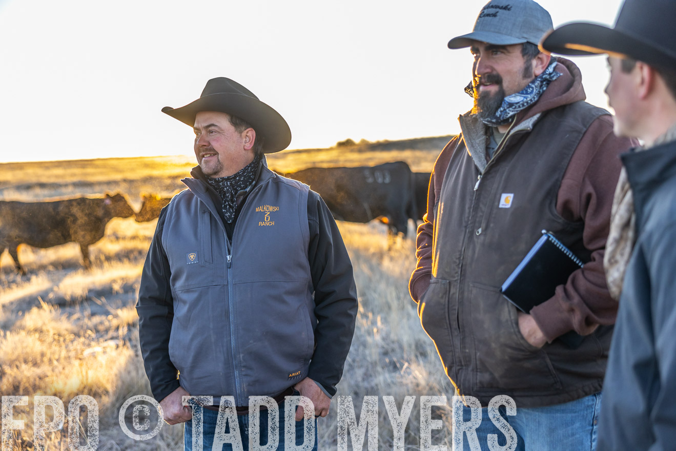 TMyers_PP_MalkowskiRanch_FairfieldND_Nov2024-515861