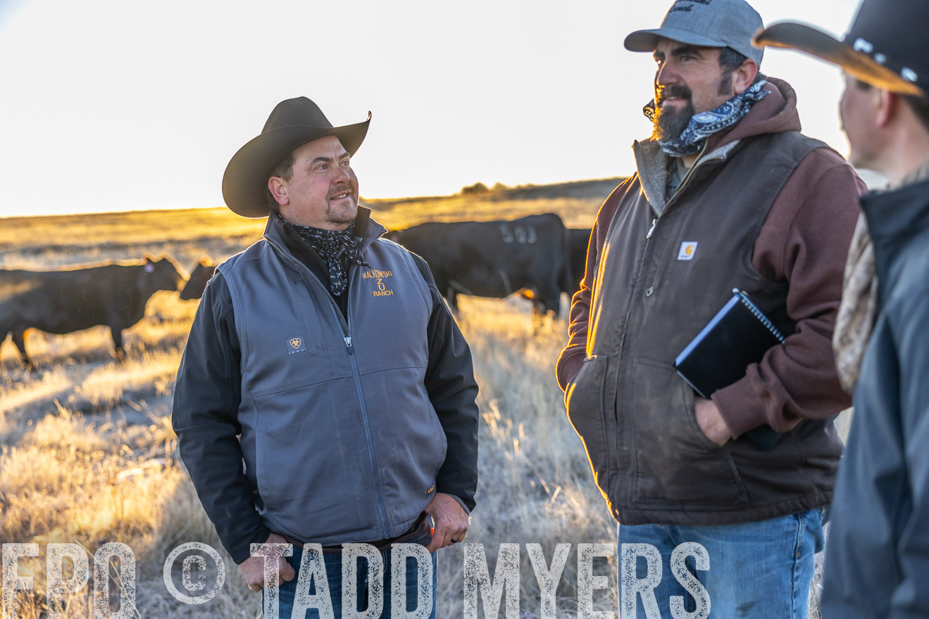 TMyers_PP_MalkowskiRanch_FairfieldND_Nov2024-515864