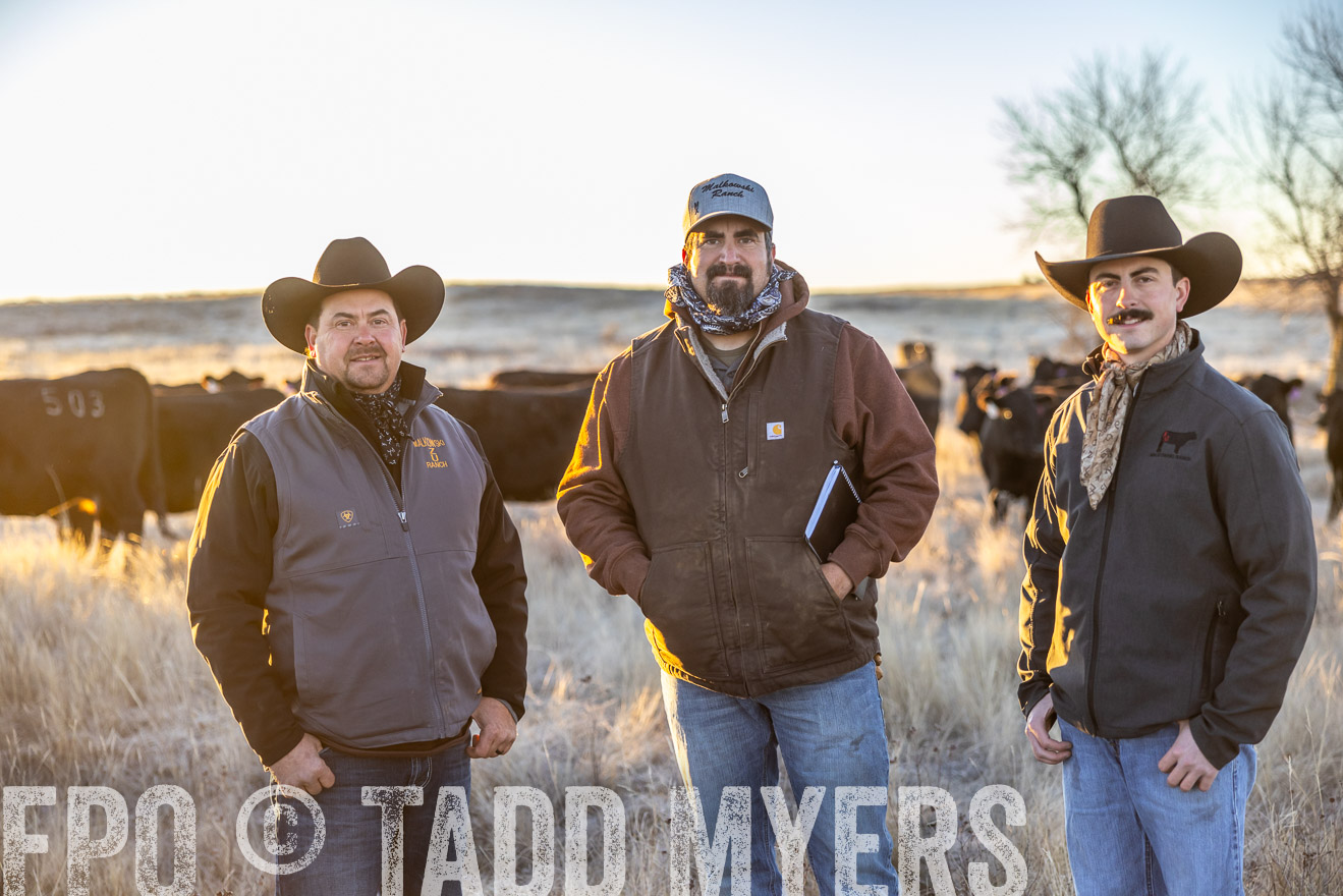 TMyers_PP_MalkowskiRanch_FairfieldND_Nov2024-515880
