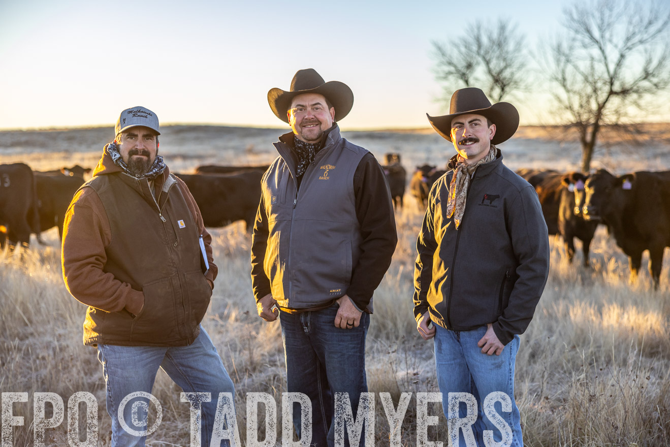TMyers_PP_MalkowskiRanch_FairfieldND_Nov2024-515884
