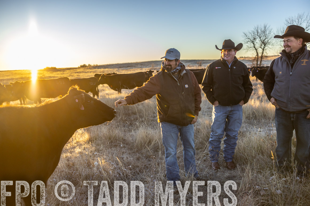 TMyers_PP_MalkowskiRanch_FairfieldND_Nov2024-515924