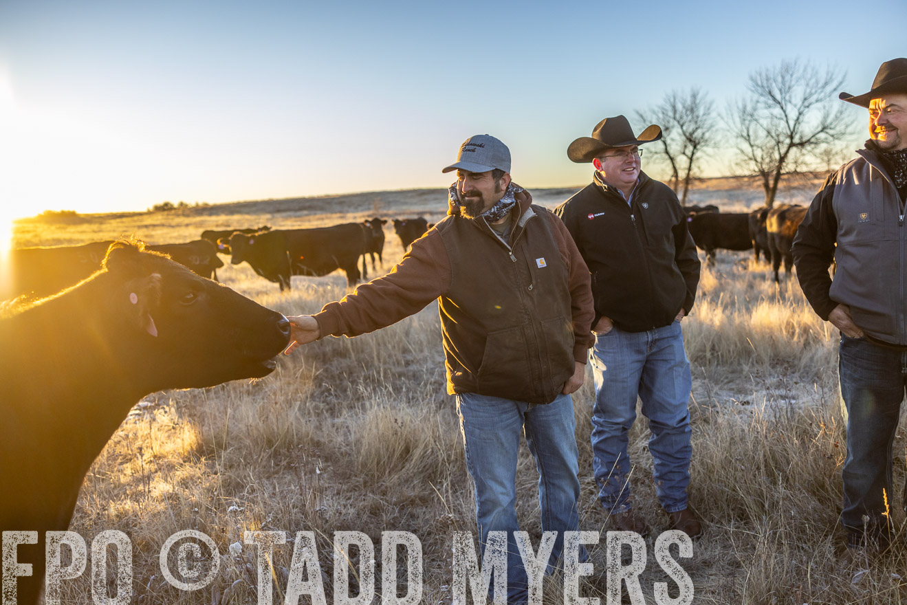 TMyers_PP_MalkowskiRanch_FairfieldND_Nov2024-515928